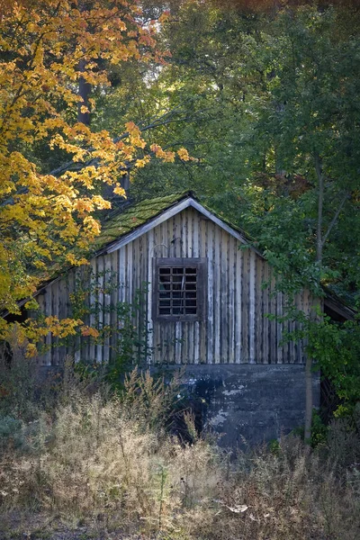 Edifício Abandonado Velho Lado Bordo Colorido Outono — Fotografia de Stock