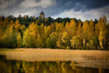 Plaj huş ağacında sonbahar güzel renkler. Resimdeki de sakin göl..