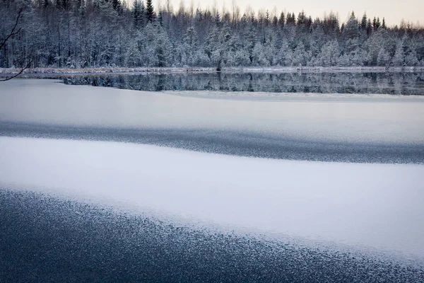 Floresta Lago Congela Novembro Metade Lago Ainda Está Aberto — Fotografia de Stock