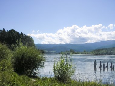 Nehir Irkut ve çalılar 
