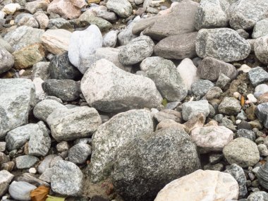 İrili ufaklı taşlar karaya kümesi