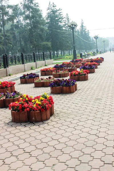 Blomsterrabatt med blommor — Stockfoto