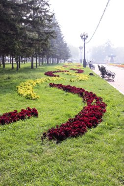 Çiçek desenleri şehir Park
