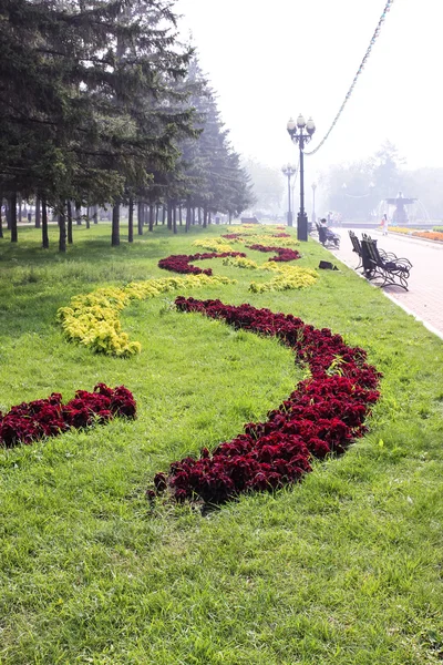 Blomma mönster i stadsparken — Stockfoto