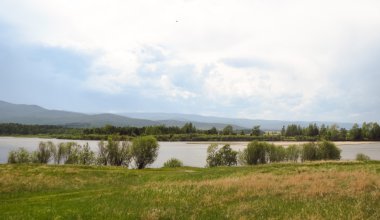 Nehir banka çalılar dağlardaki karşı büyümek
