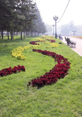 Çiçek desenleri şehir Park