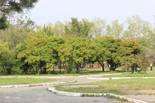 El manzano en el jardín —  Fotos de Stock