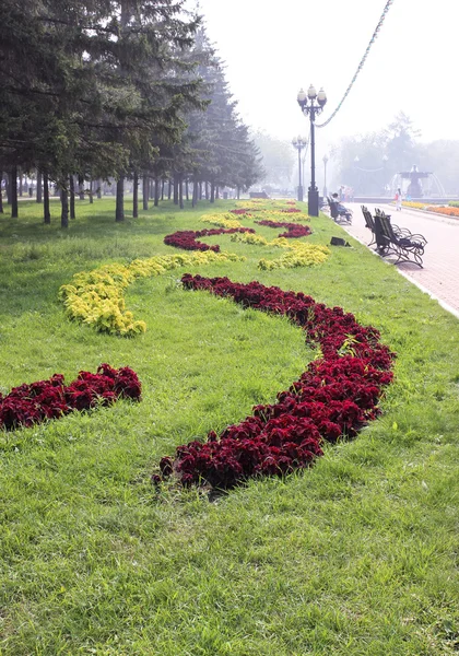 Çiçek desenleri şehir Park
