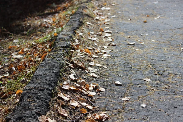 Sidewalk with the fallen-down leaves — Stock Photo, Image