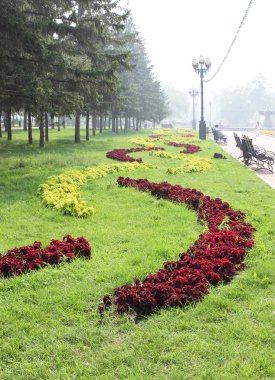 Çiçek desenleri şehir Park