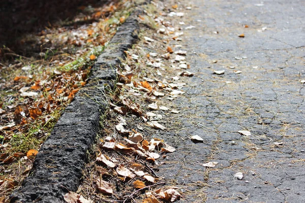 Trottoir met bladeren — Stockfoto