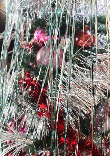 ΦΡΑΟΥΛΙΤΣΑ σε ένα δέντρο το νέο έτος — Φωτογραφία Αρχείου