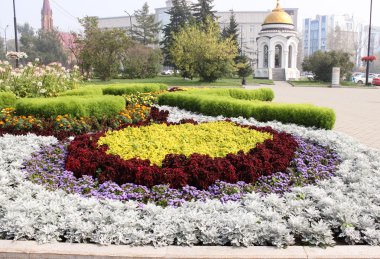 Şehir flowerbed çiçeklenir