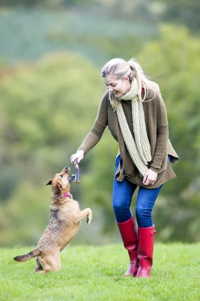 Fun dog walk — Stock Photo, Image