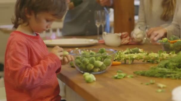 Pequeño ayudante de Navidad — Vídeo de stock