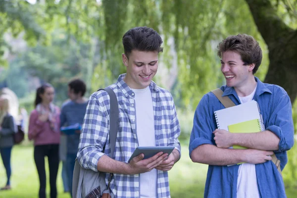 Amigos estudando juntos — Fotografia de Stock