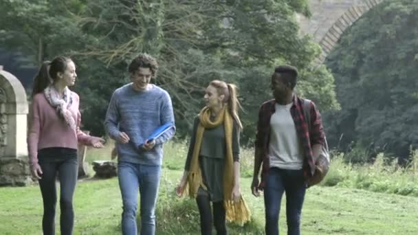 Подростки социализируются на улице — стоковое видео