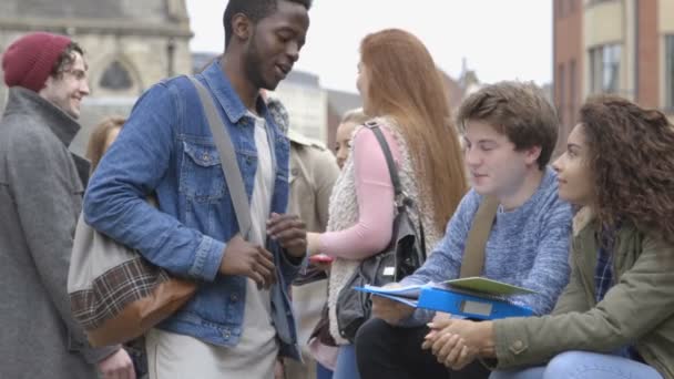 Les adolescents socialisant en plein air — Video