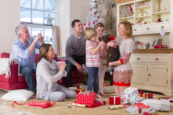 Welpe zu Weihnachten — Stockfoto