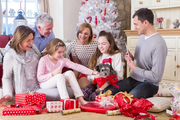 Novo cachorro no Natal — Fotografia de Stock