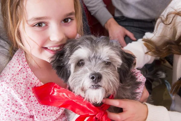 Chica feliz con nuevo cachorro — Foto de Stock