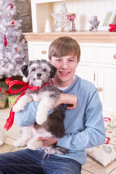 Niño con cachorro en Navidad — Foto de Stock