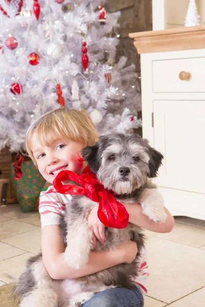 Menino com filhote de cachorro no Natal — Fotografia de Stock