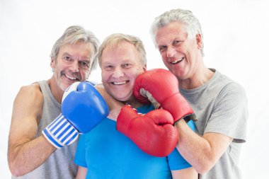 Three men posing in boxing gloves clipart