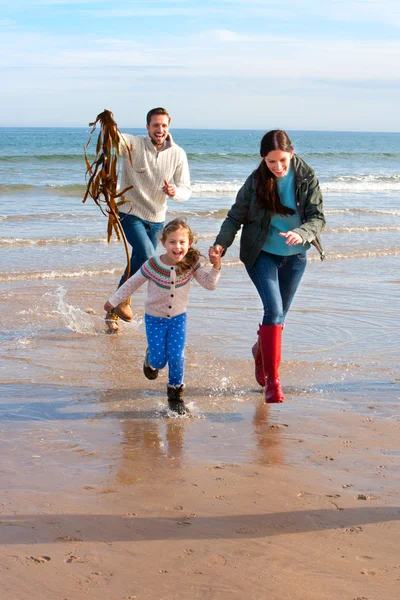 Семья на пляже с водорослями — стоковое фото
