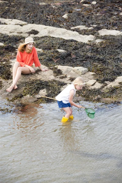 Searching for treasure — Stock Photo, Image