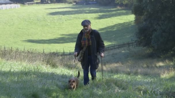 Mattina passeggiata con il cane — Video Stock