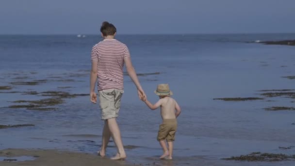 父と息子の接合時間 — ストック動画