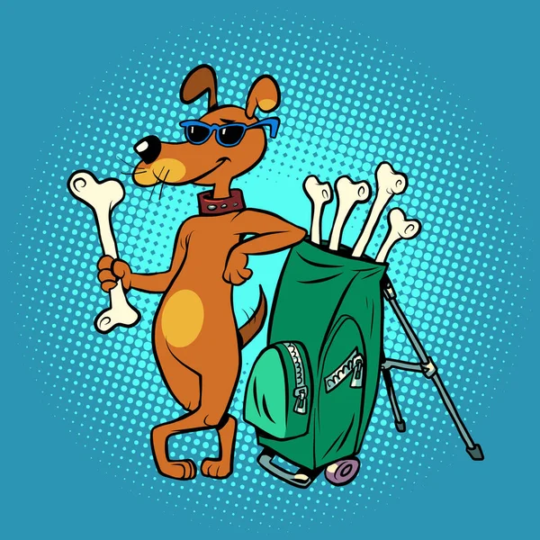 Mascotas club de golf amigable, lindo personaje de perro con palos de hueso — Vector de stock