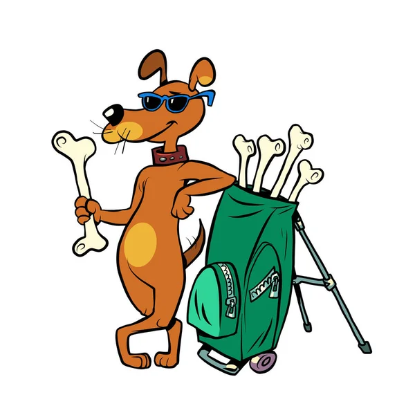 Mascotas club de golf amigable, lindo personaje de perro con palos de hueso. aislar sobre un fondo blanco — Vector de stock