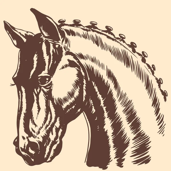 Cabeza de caballo de pura raza perfil de carreras exposición melena — Archivo Imágenes Vectoriales