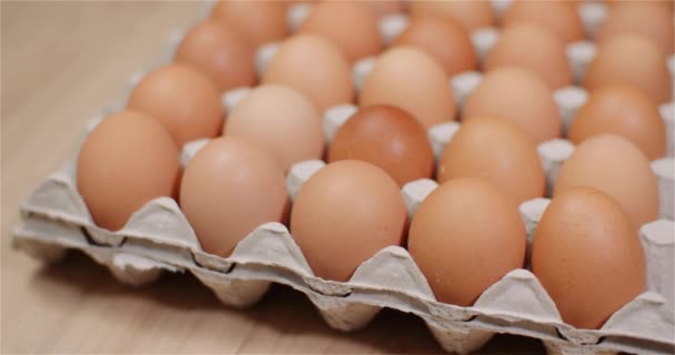 Экструдер для яиц, полный свежих яиц на черном фоне — стоковое видео