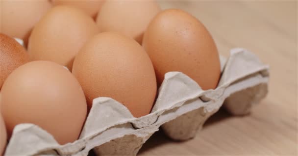 Extrusora de huevos llena de huevos frescos sobre fondo negro — Vídeo de stock