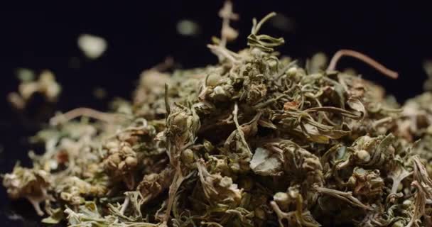 大麻の薬の概念-医療 — ストック動画