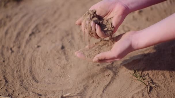Фермер трогает грязь в руках, заливая органическую почву — стоковое видео