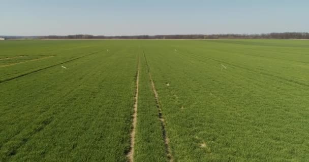 A mezőgazdasági táj égbolttal szembeni pásztázása — Stock videók