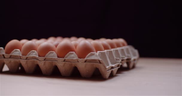 Eggs Extruder Full of Fresh Eggs on Black Background — Stock Video