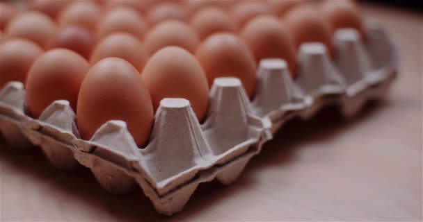 Extrusora de ovos cheia de ovos frescos em fundo preto — Vídeo de Stock