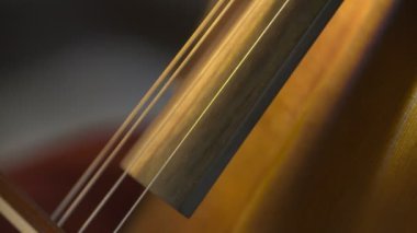 Orkestrada çello. Çello çalan müzisyen