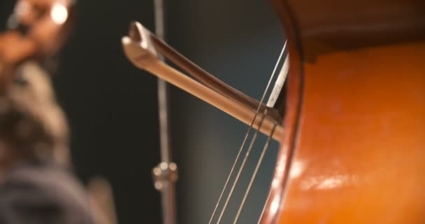 Віолончель в оркестрі. Музикант грає на віолончелі — стокове відео