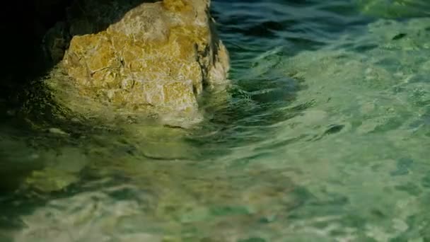 Onde d'acqua di mare e Sea Shore — Video Stock