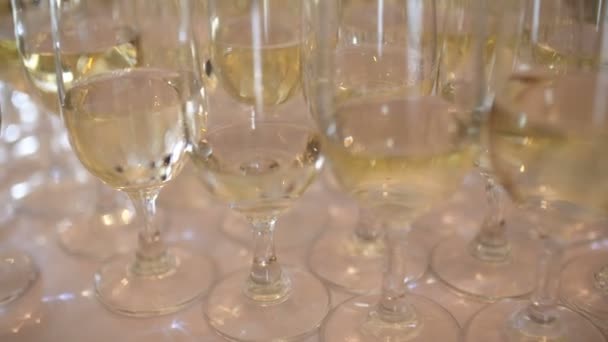 Champagne. många champagneflöjter med mousserande champagne — Stockvideo