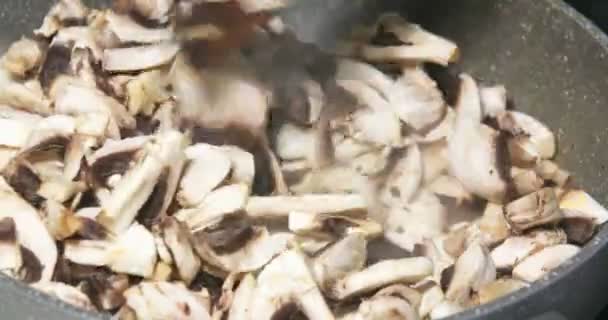 Sütő gombák Pan-ban — Stock videók