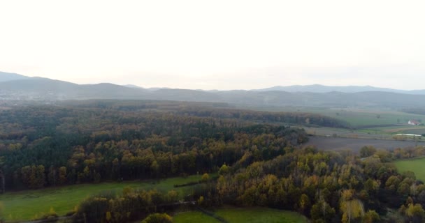 Volando sobre el bosque. Bosque desde arriba — Vídeo de stock