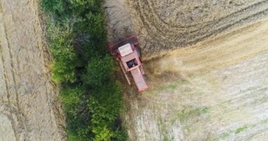 Buğday tarlası hasat eden hasatçıyı birleştirin.