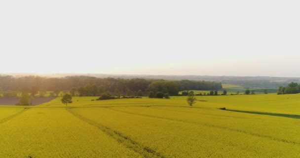 Paysage agricole contre ciel — Video